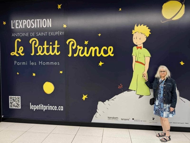 Exposition Le Petit Prince – Johanne Panago