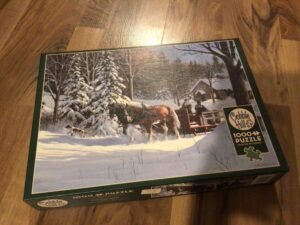 Chevaux hiver