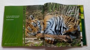 Beau gros livre d'images "Des bébés animaux"