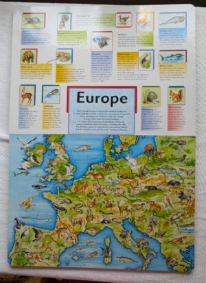 Gros livre de casse-têtes Animals ( textes en anglais)