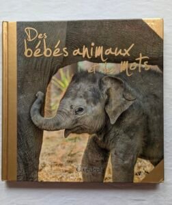 Beau gros livre d'images "Des bébés animaux"