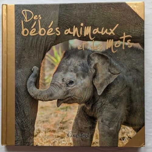 Beau gros livre d'images "Des bébés animaux"