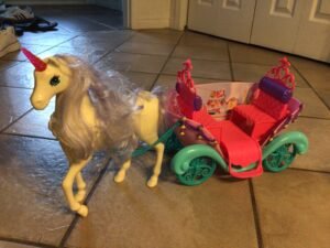 Cheval et son carrosse😍 la crinière aura besoin d’un petit coup de peigne 🤪