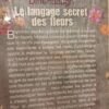 Le langage secret des fleurs - Vanessa Diffenbaugh - encore emballé