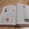 Dictionnaire Le petit Larousse illustré 2005, couverture abîmée, mais l'intérieur belle qualité