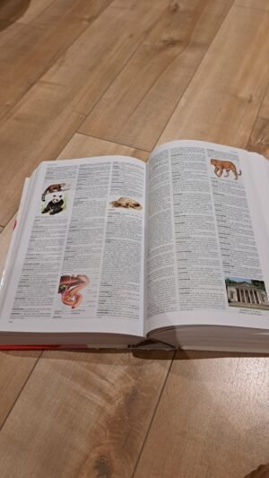Dictionnaire Le petit Larousse illustré 2005, couverture abîmée, mais l'intérieur belle qualité