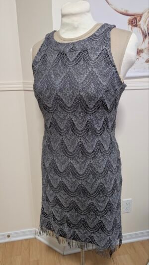 Robe argentée Reitmans wow 🤩