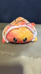 tortue deux émotions