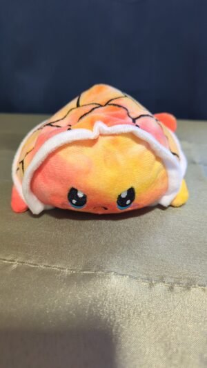 tortue deux émotions