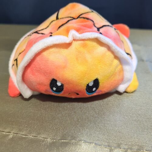 tortue deux émotions