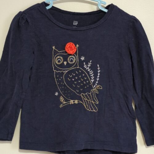 2026/01/JPEG_20260119_120157_209168181292052245-scaled.jpg chandail 🦉 babyGap gr2