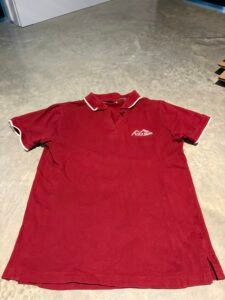 Polo Raphaelu ESDHS TP